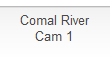 Comal River
Cam 1